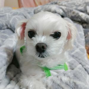찾아주세요