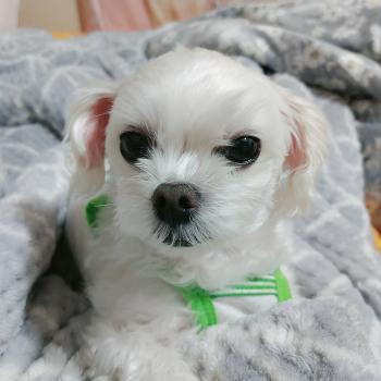 찾아주세요