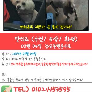 츄를찾아주세요