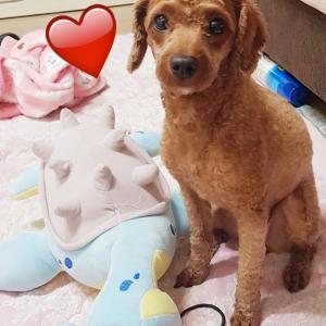 저희 제시를 꼭 찾아주세요