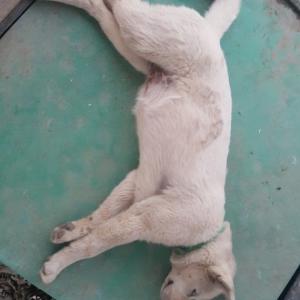 계수낚시터에서 계순이를 찾습니다...