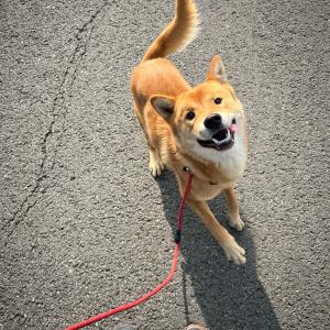 백팔이를  찾아요