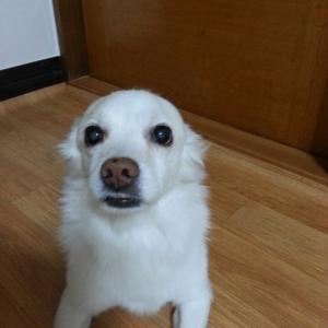 인천 숭의동부근 도와주세요ㅠㅠ