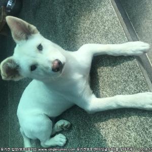 여름이좀 찾아주세요!