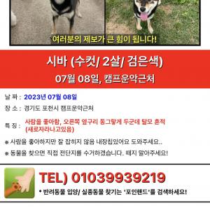 경기도 포천시 캠프운악 근처