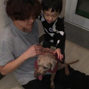 뿌꾸 찾아주세요