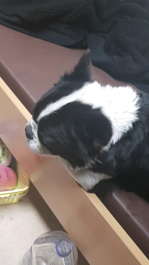 목포해양대학교주변입니다