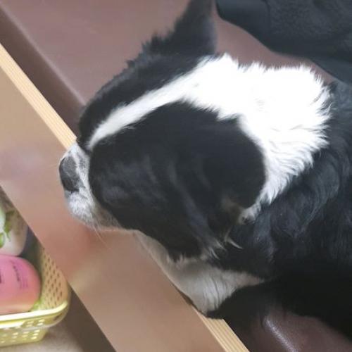 목포해양대학교주변입니다