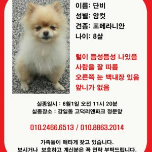 단비를 찾습니다.
