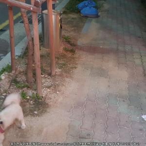 흥해읍