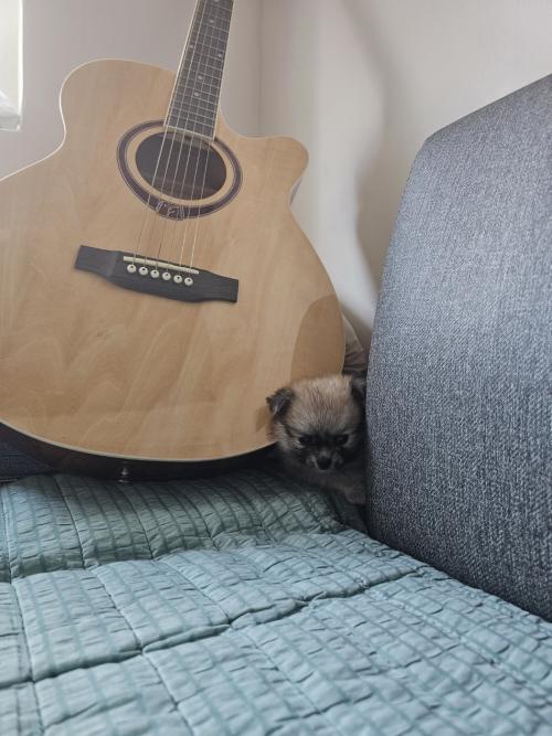 여러분의 사랑으로 화목한 가족을 만났습니다.