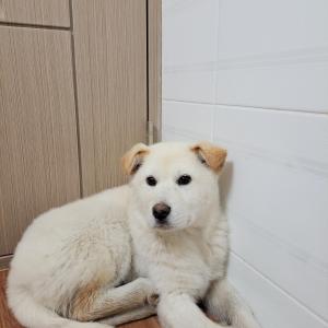 가족이 되어주세요