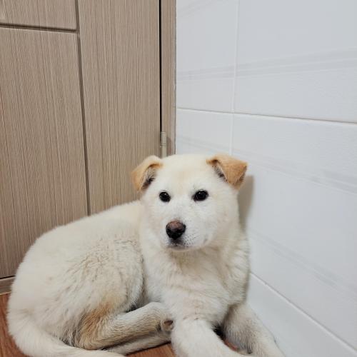 가족이 되어주세요