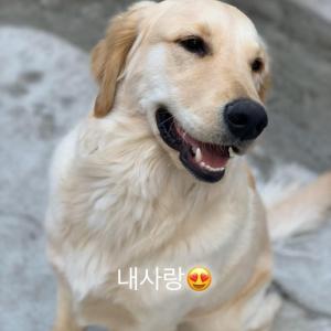 조치원 연서면 인근 재동이 찾습니다