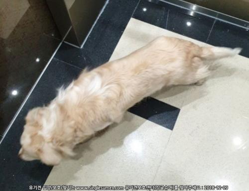 (경남 김해) 주인을 찾습니다