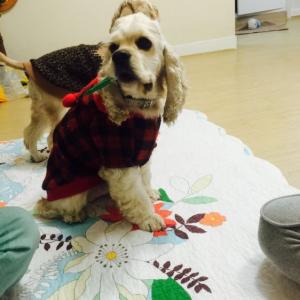 화곡2동주민센터주변