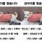 금천구 독산동 강아지찾습니다