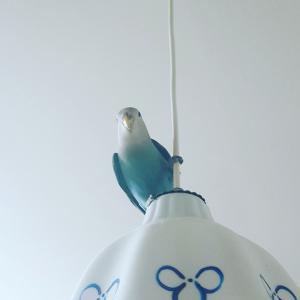 신포, 자유공원 사이 모란 앵무새 날라갔어요..