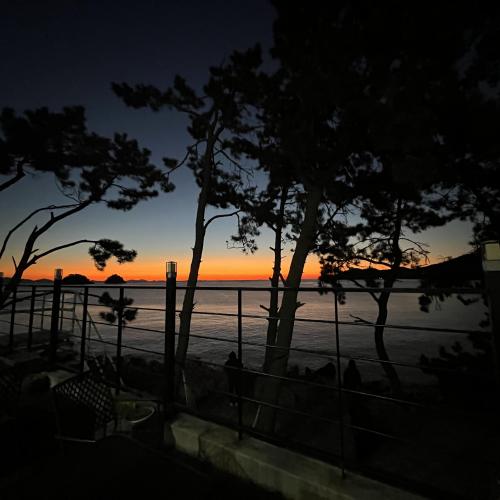 포메라니안 여아 10개월된 5kg아가입니다