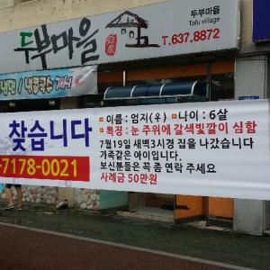(경북영주)7월19일 실종ㅠ엄지를찾습니다