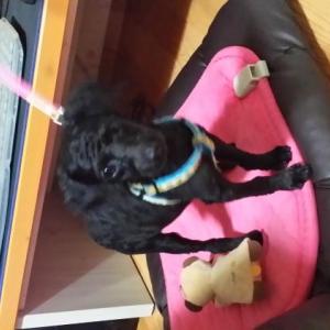 제발  찾아주세요