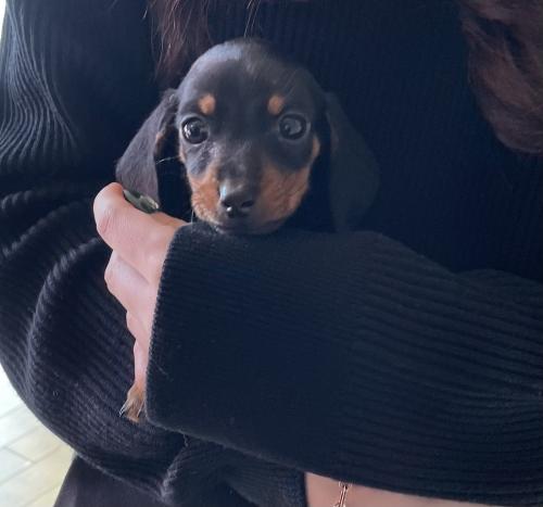 완료 되었습니다