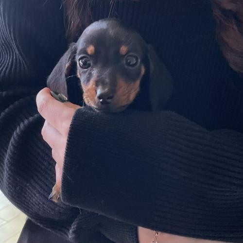 완료 되었습니다