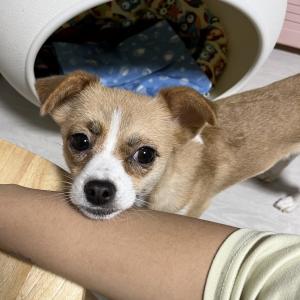 뭄무를 찾습니다