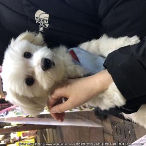봄이