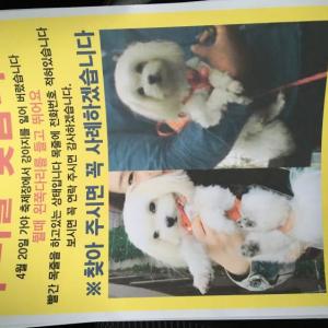 우리루비좀찾아주세요