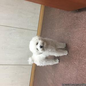 광진구 화양동 건대에서 찾아서 광진구청에서 보호중입니다