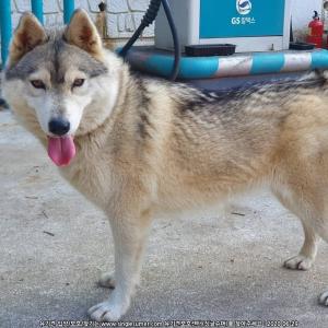 저희 아이들 찾습니다