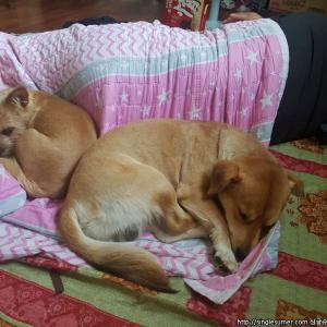 한달되가요01050951977