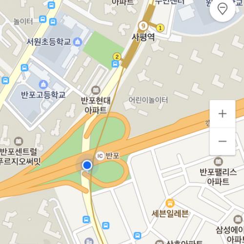반포ic 잔디밭에 목에 캡 쓴 하얀 강아지를 봤습니다