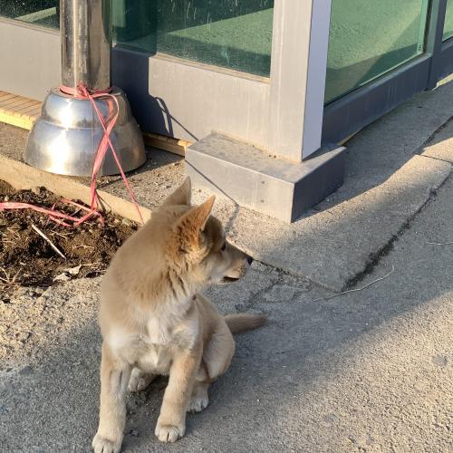 예산읍 신례원 명지병원 앞