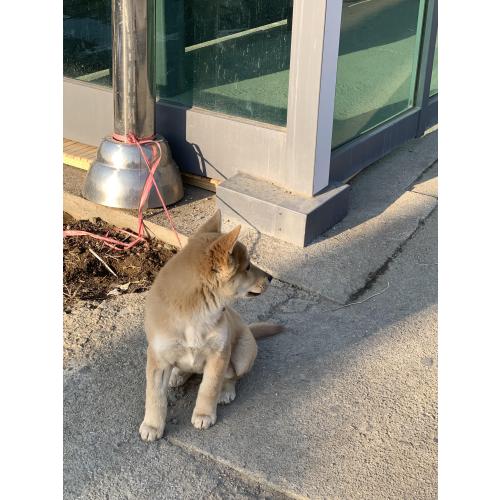 예산읍 신례원 명지병원 앞