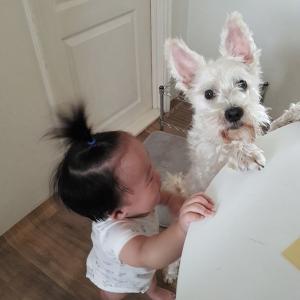 마루를찾습니다