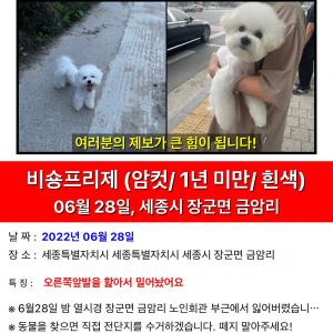 제발제보해주세요