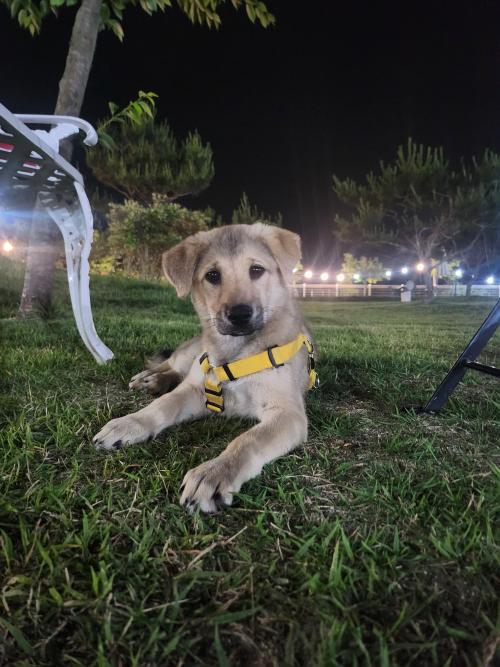 3개월 아가 가족을 기다립니다.