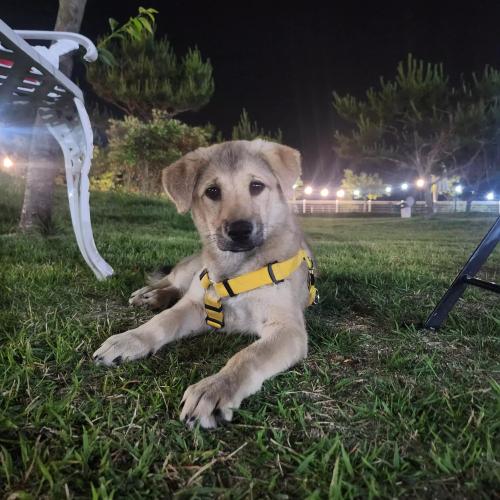 3개월 아가 가족을 기다립니다.