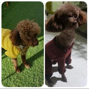 엔젤이 찾아 주세요