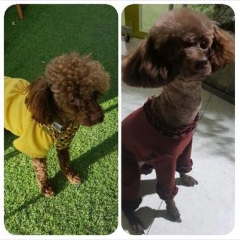 엔젤이 찾아 주세요