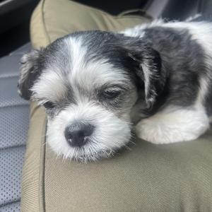 둥이를 찾고 있어요