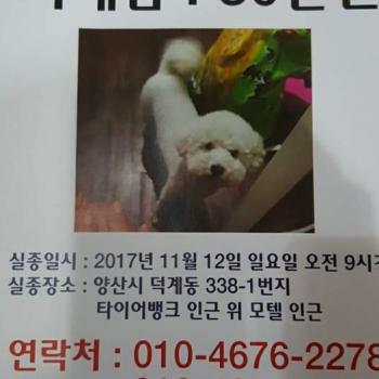 우리웅이
