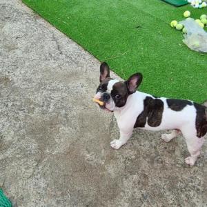 경북 경주시 우리 이응이릉 찾아주세요