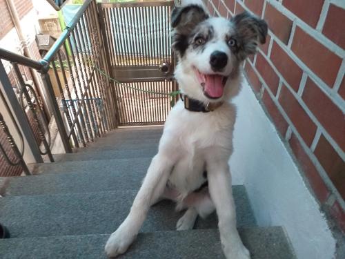 충남 아산시 둔포 관대리 버스 정류장 관대길