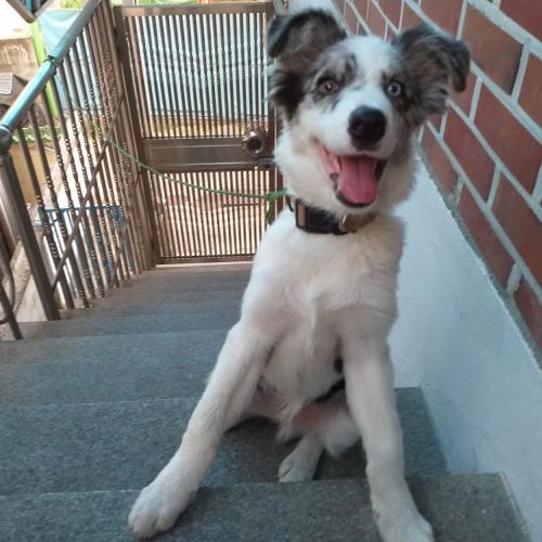 충남 아산시 둔포 관대리 버스 정류장 관대길