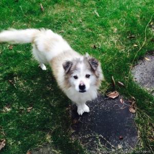 누리를 찾아주세요..