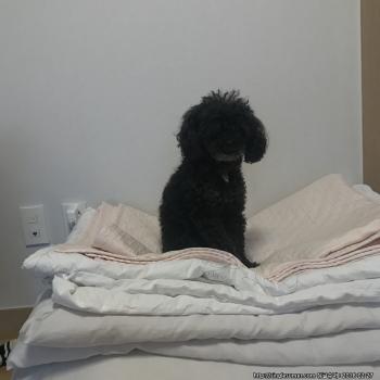 10년을 함께 했습니다 제발 도와주세요
