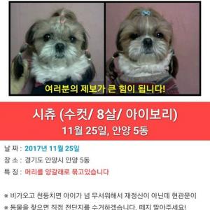 한번만 읽어주세요!!